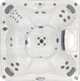 СПА бассейн Sundance Spas 780 серия Chelsee, 224х224х92см цвет чаши медный песок, цвет корпуса тик