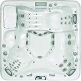 СПА бассейн Sundance Spas 880 серия Cameo, 226х226х96 см цвет чаши песок, цвет корпуса тик