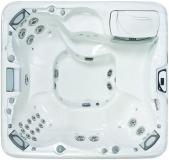 СПА бассейн Sundance Spas 880 серия Majesta, 206х219х96 см цвет чаши целестин, цвет корпуса тик