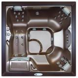 СПА бассейн Sundance Spas Select серия Victoria, 224смх224смх91см цвет чаши платина, цвет корпуса тик