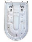 Переливной СПА бассейн Astral Wellmax, 460x281x114/117 с LED подсветкой